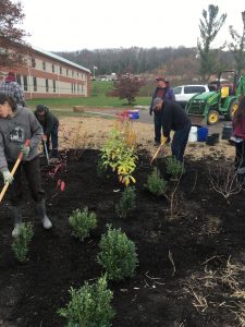 Group planting a rain garden