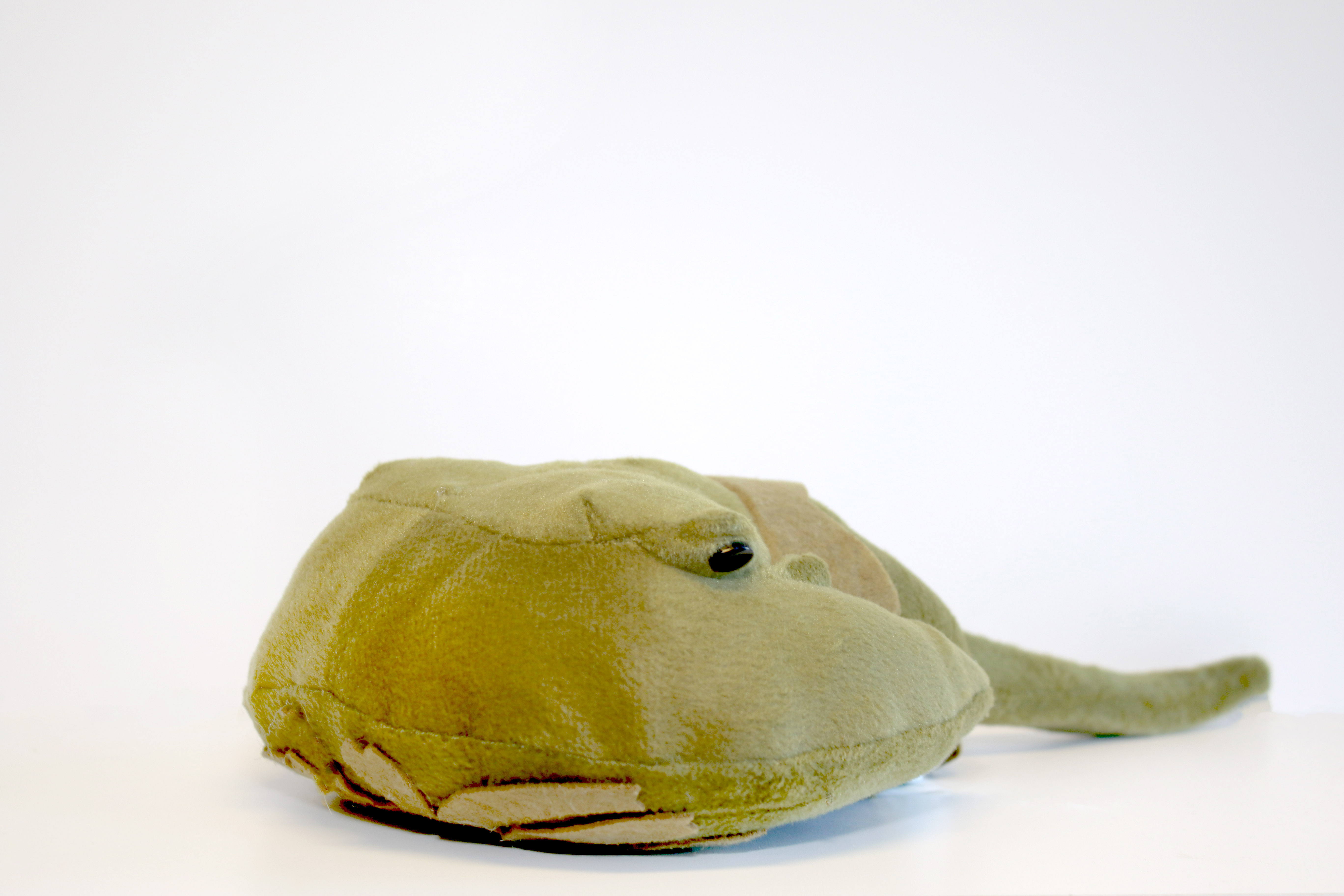 horseshoe crab stuffed animal