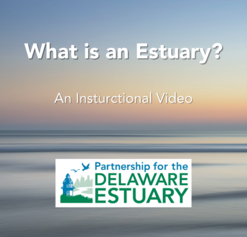 Photo of What is an Estuary?