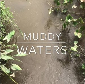 Muddy Waters