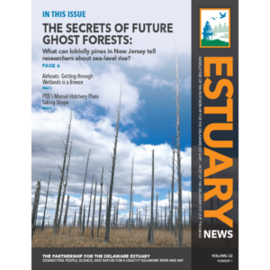 Cover of Estuary News Vol. 32, Issue 1