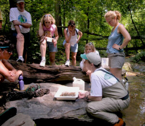 Teachers Gathered Around Instructor