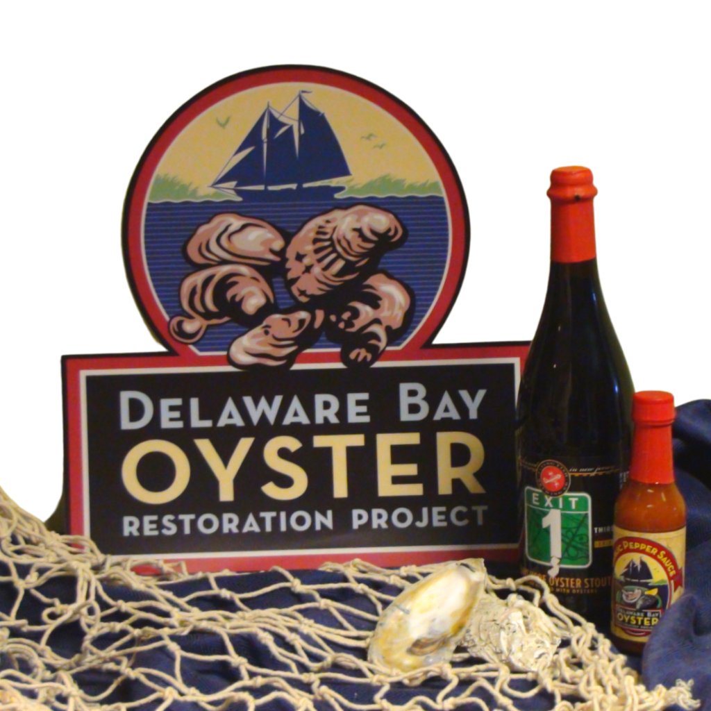 Oyster Restoration Project