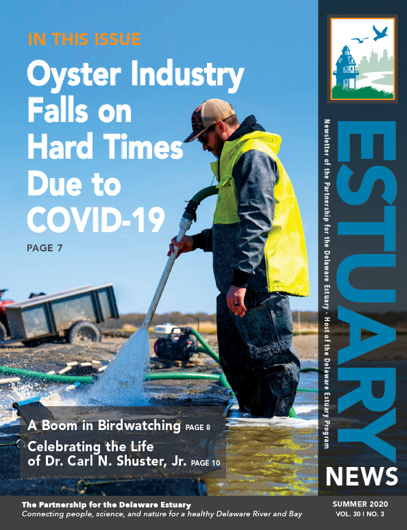 Estuary News 2020, Issue 3
