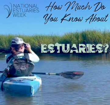 Photo of Take Our Quiz for National Estuaries Week (September 16  –  23, 2023)