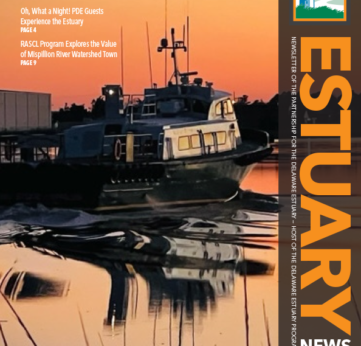 Photo of Read the Latest Estuary News