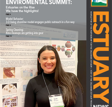 Photo of Read the Latest Estuary News