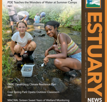 Photo of Read the Latest Estuary News