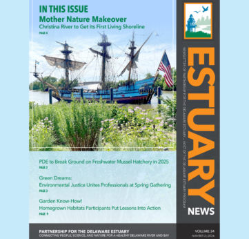 Photo of Read the Latest Estuary News