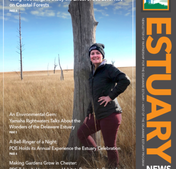 Photo of Read the Latest Estuary News