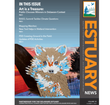 Photo of Read the Latest Estuary News