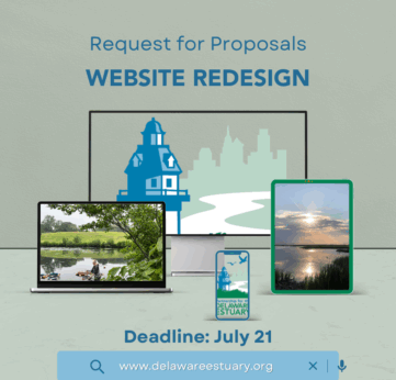 Photo of Request for Proposals: Looking for Website Designers