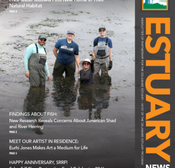 Photo of Read the Latest Estuary News