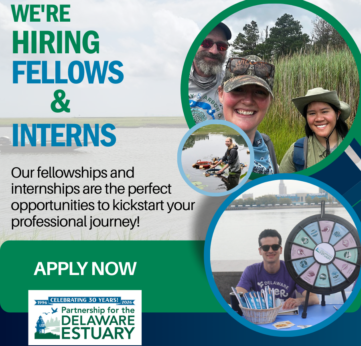 Photo of We’re Looking for Fellows & Interns