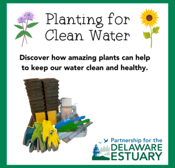 Photo of Planting for Clean Water